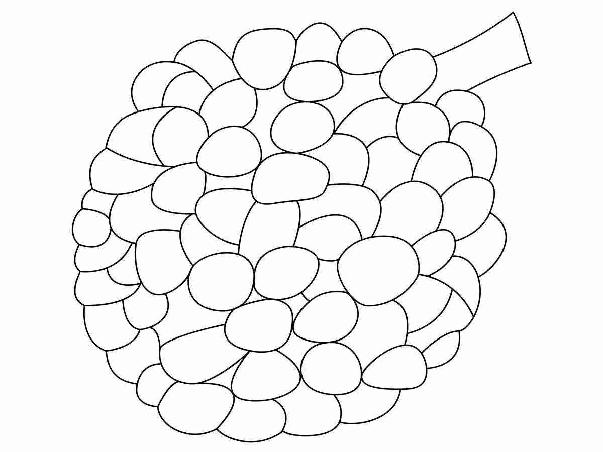 Fruits coloring page (113)