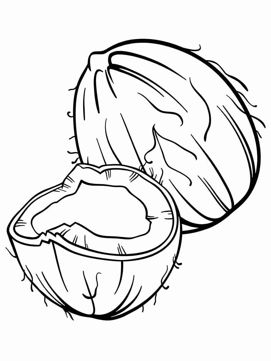 Fruits coloring page (17)