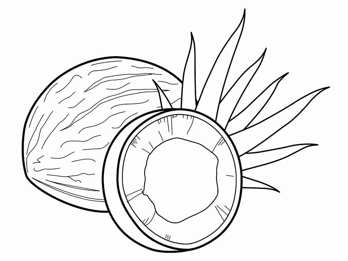 Fruits coloring page (18)