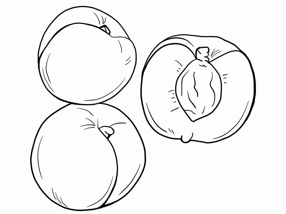 Fruits coloring page (20)