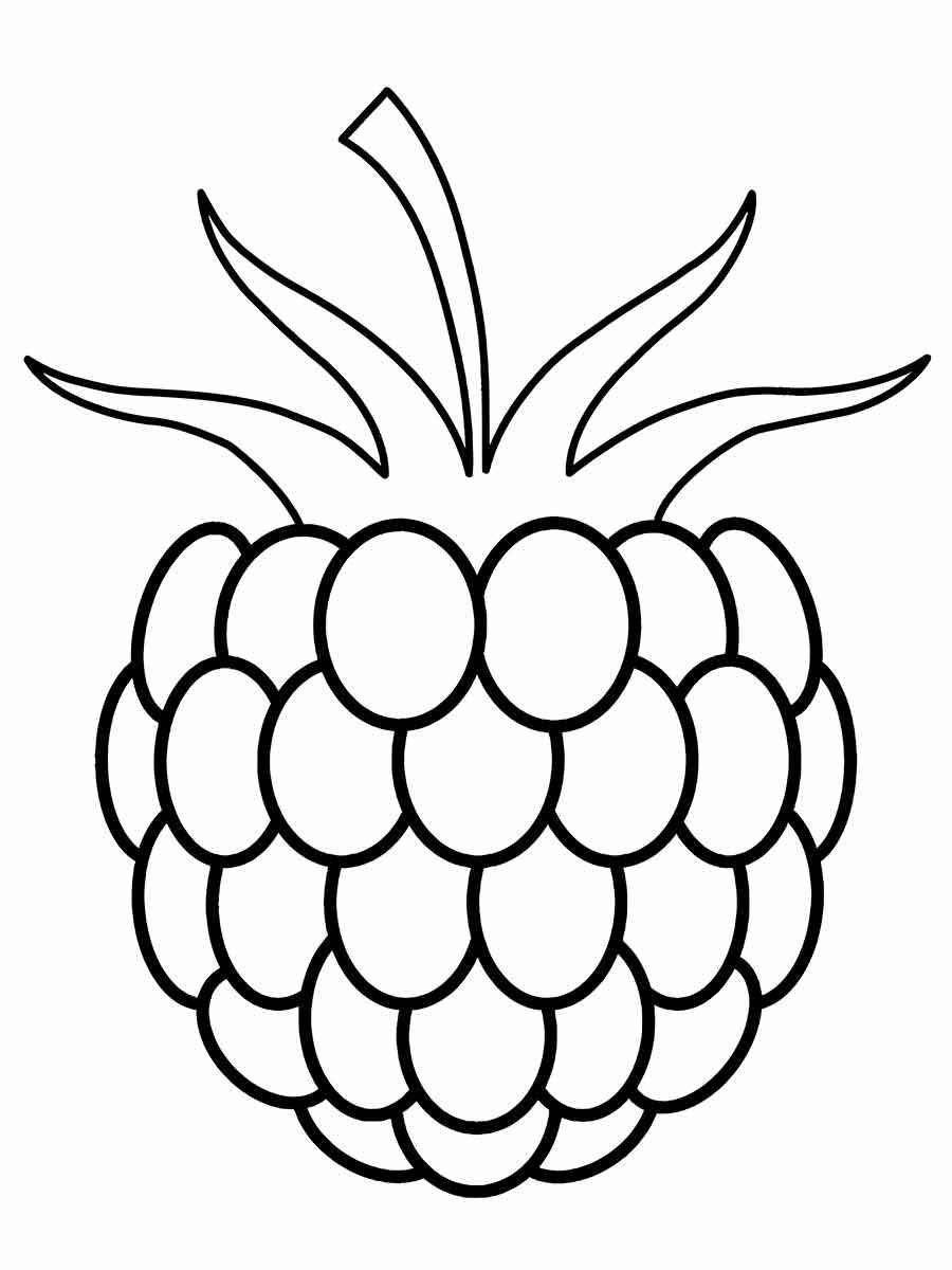 Fruits coloring page (22)