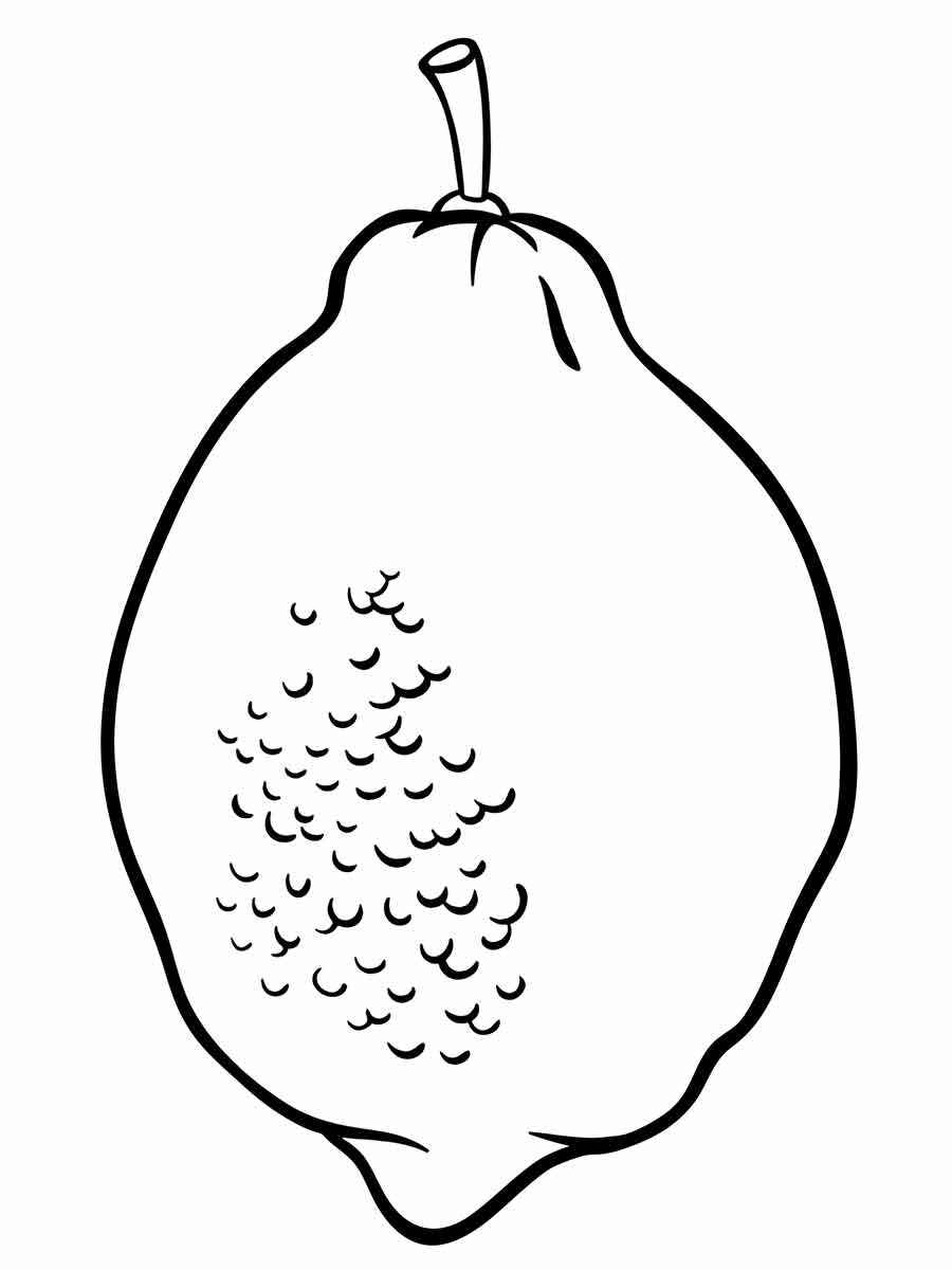 Fruits coloring page (23)