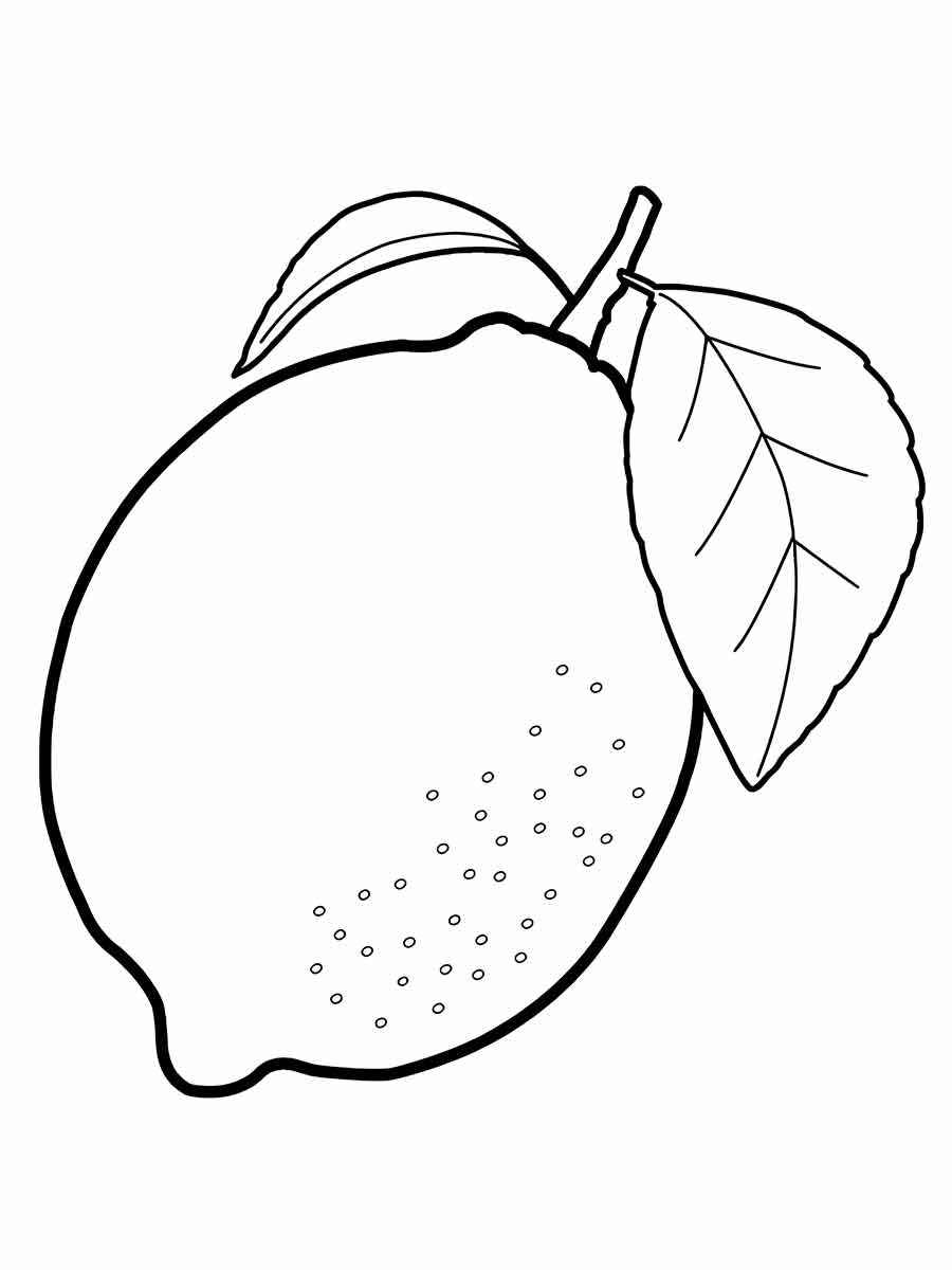 Fruits coloring page (24)