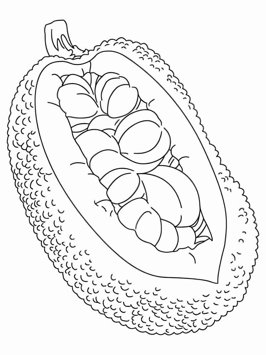 Fruits coloring page (26)