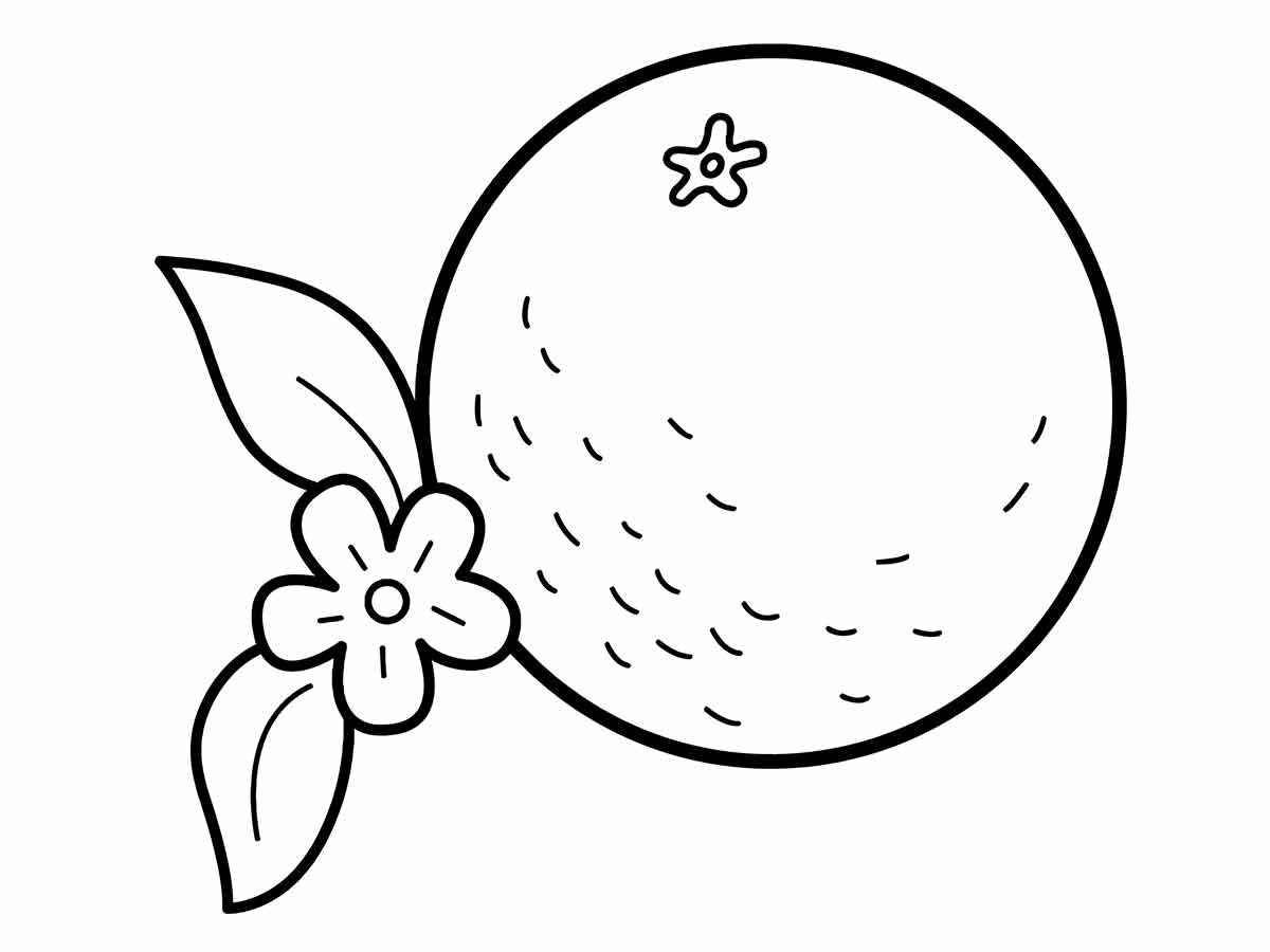 Fruits coloring page (29)