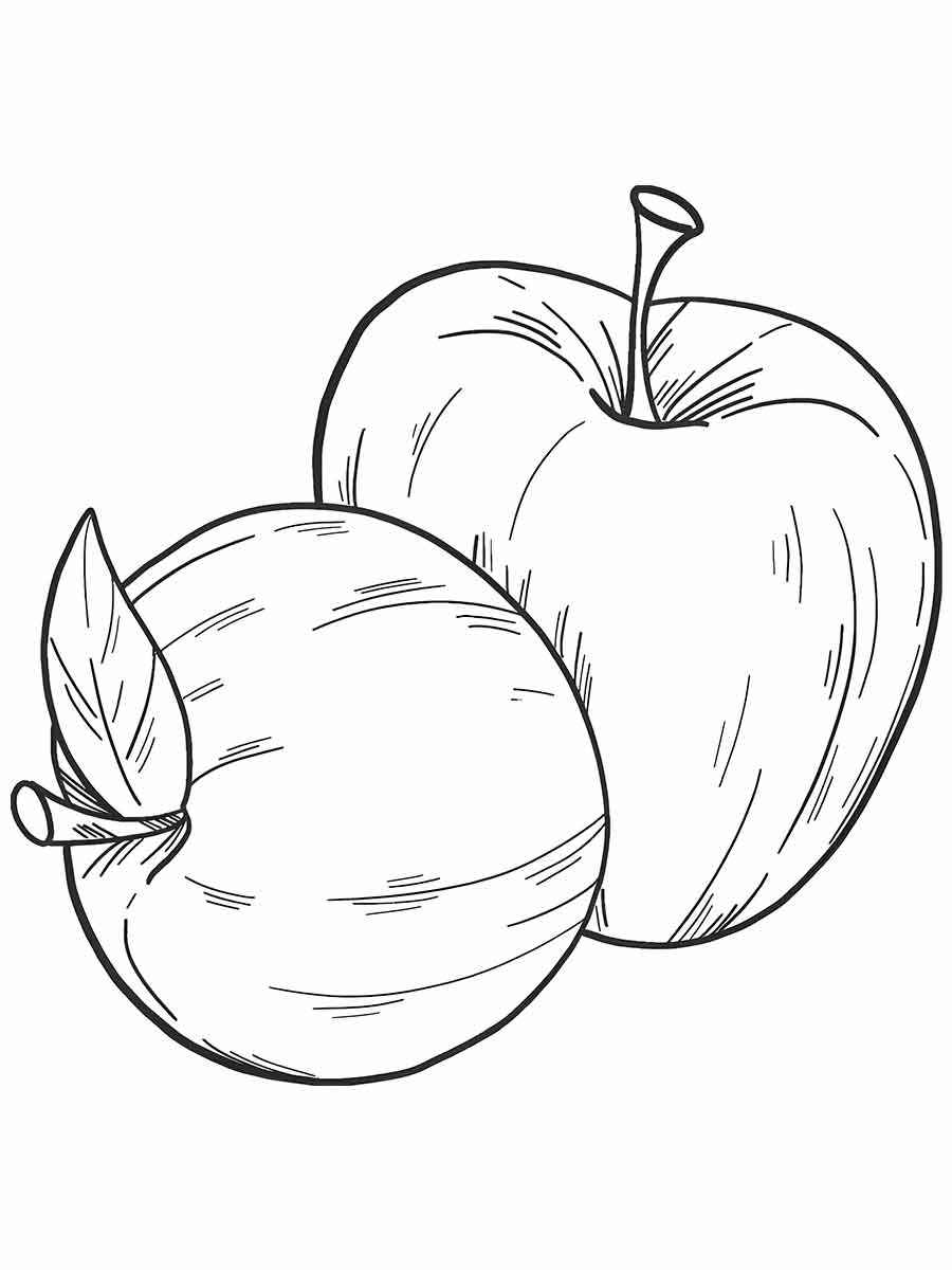 Fruits coloring page (38)