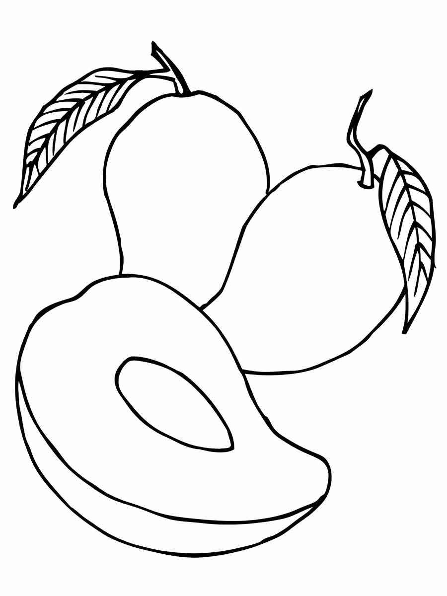 Fruits coloring page (43)