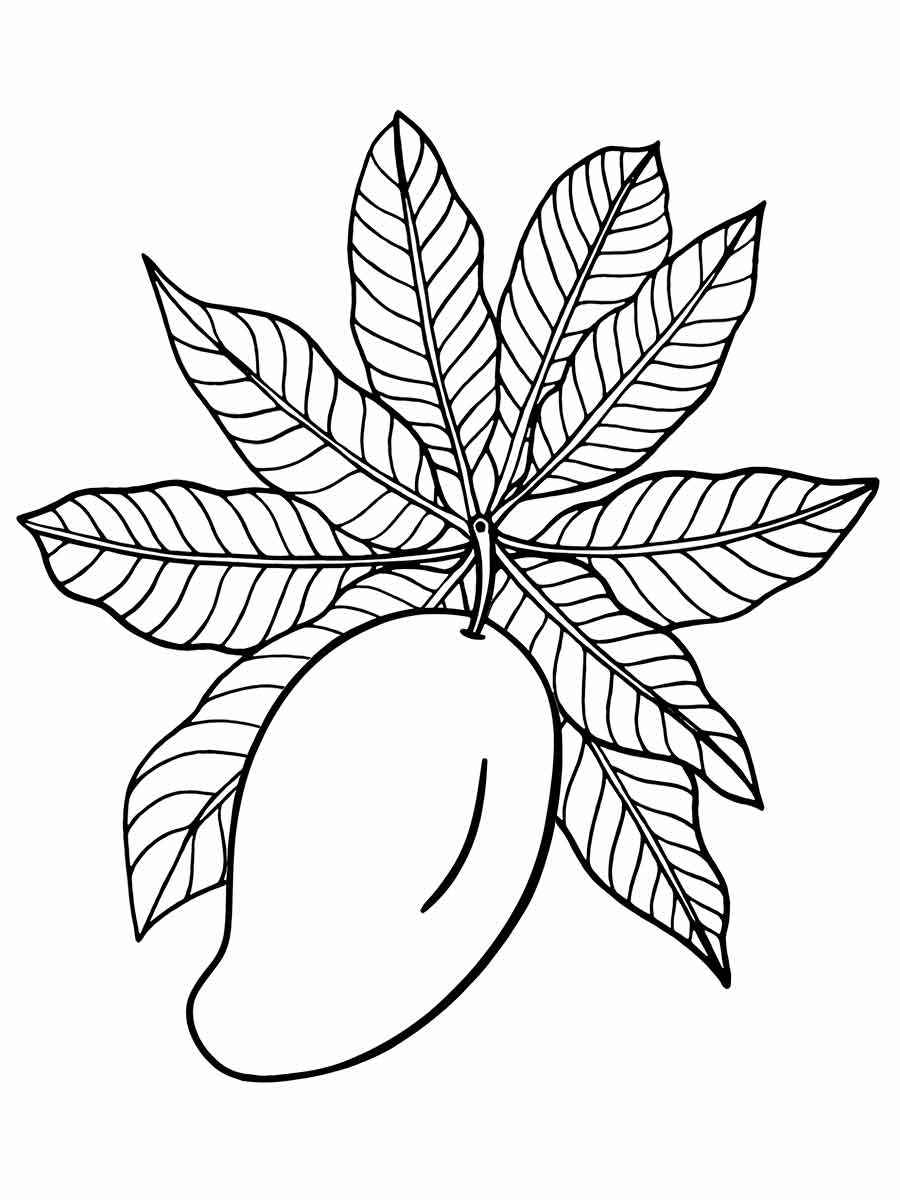 Fruits coloring page (44)