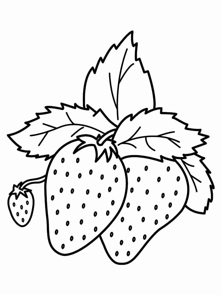 Fruits coloring page (57)