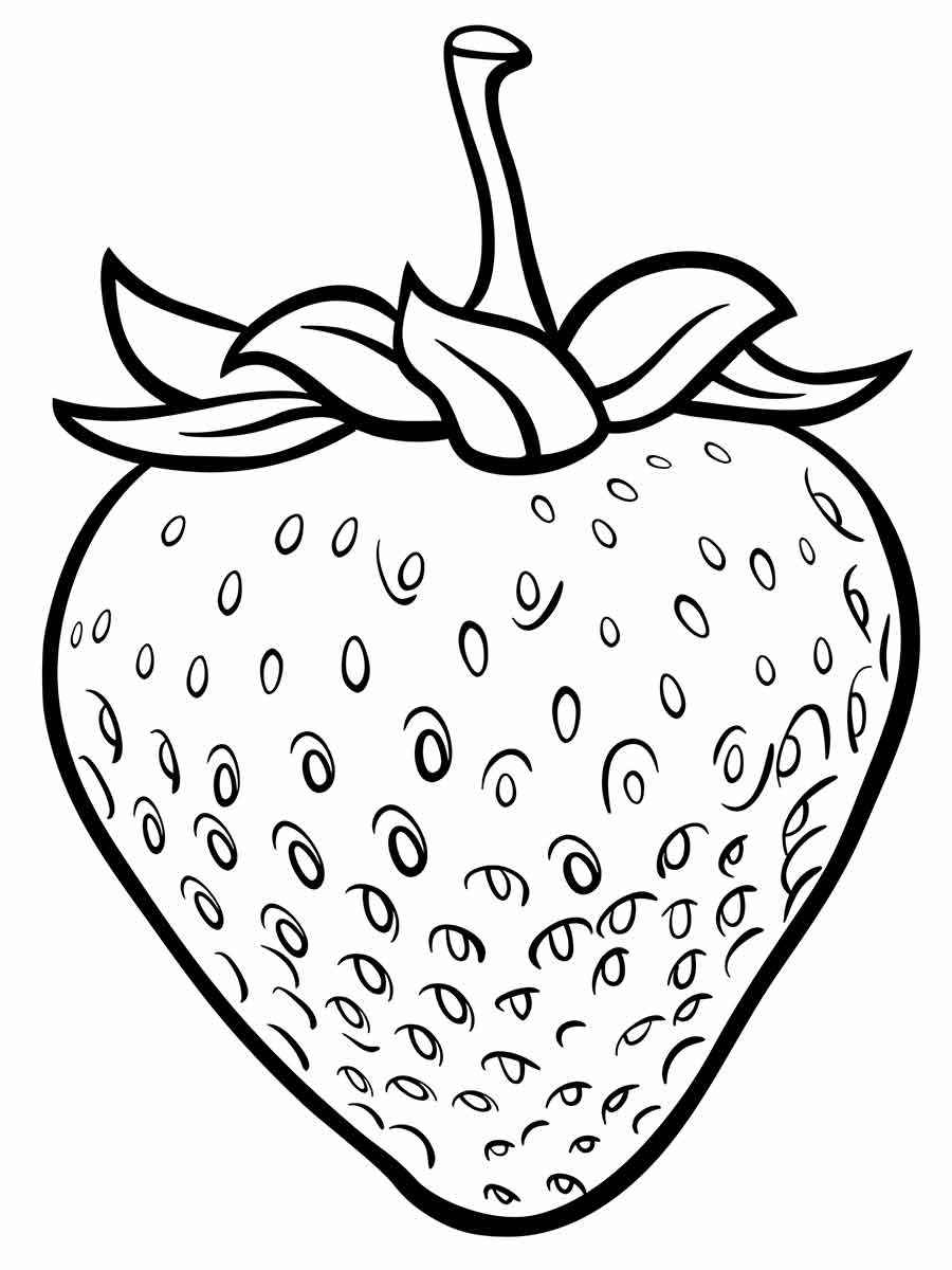 Fruits coloring page (59)