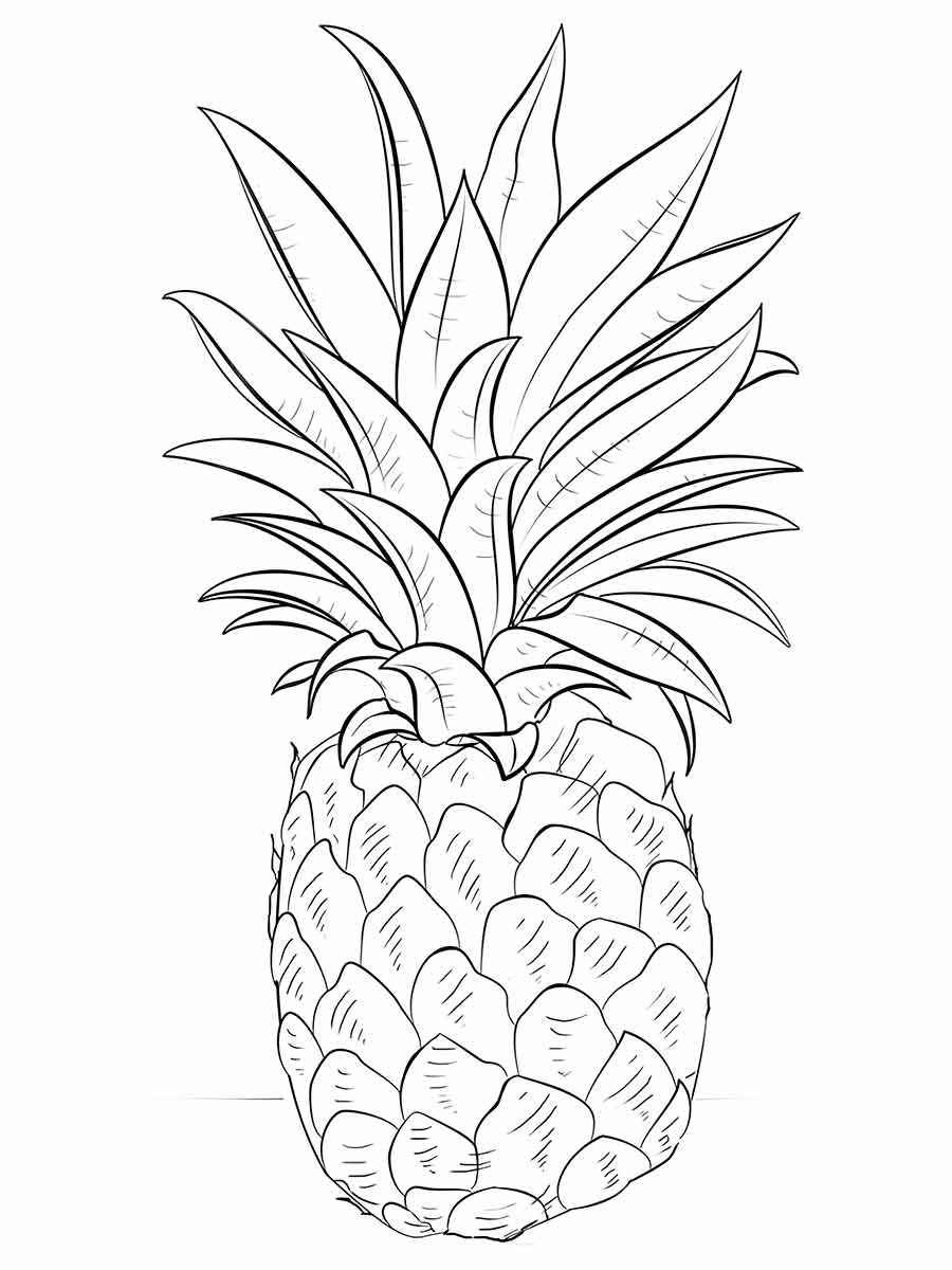 Fruits coloring page (6)