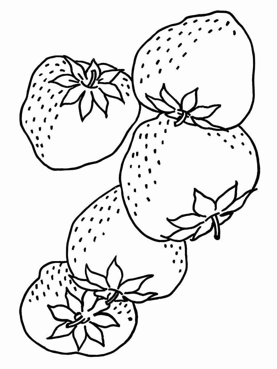 Fruits coloring page (60)