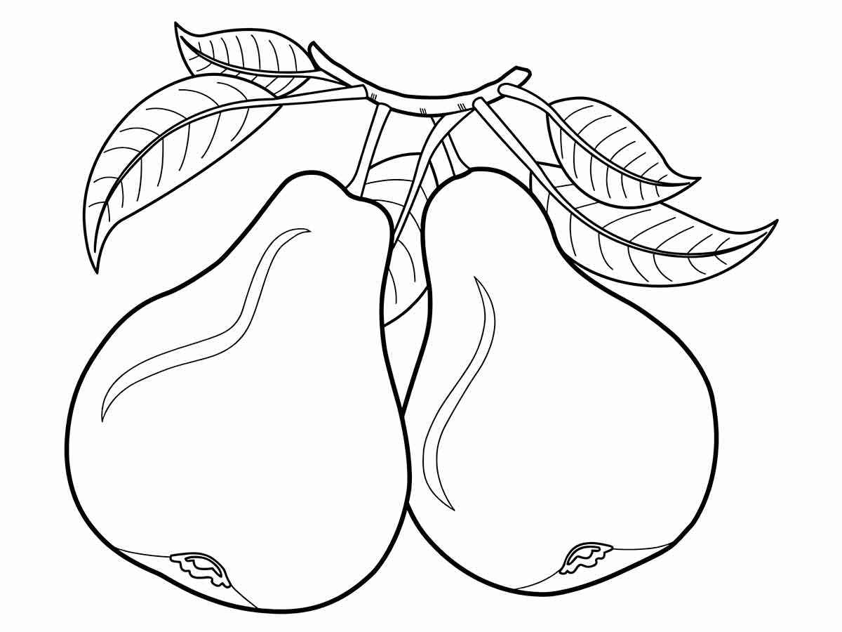 Fruits coloring page (62)