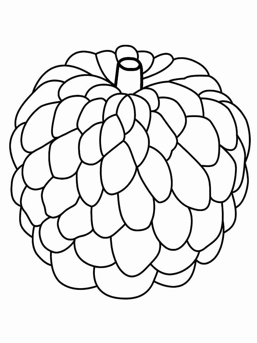 Fruits coloring page (63)