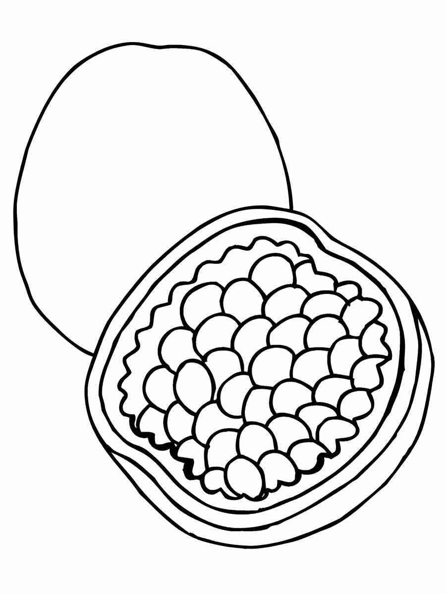 Fruits coloring page (65)