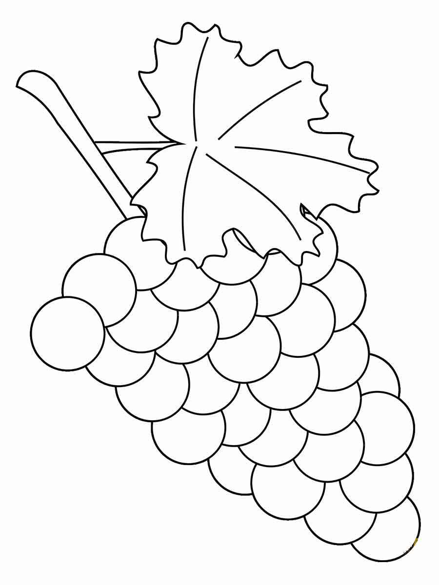 Fruits coloring page (67)