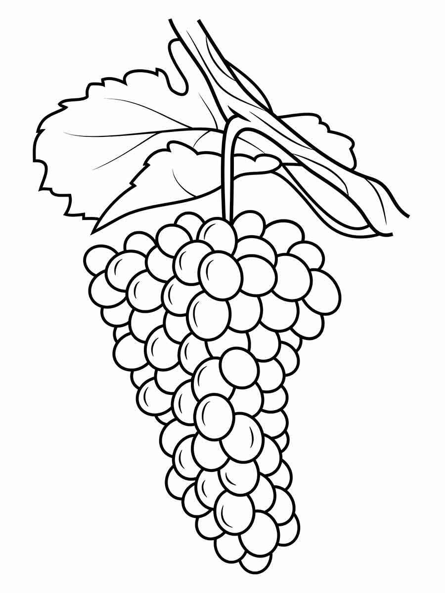 Fruits coloring page (68)