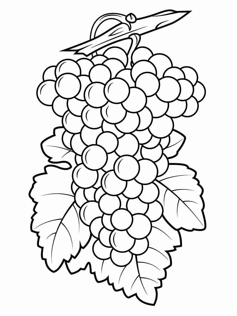 Fruits coloring page (69)