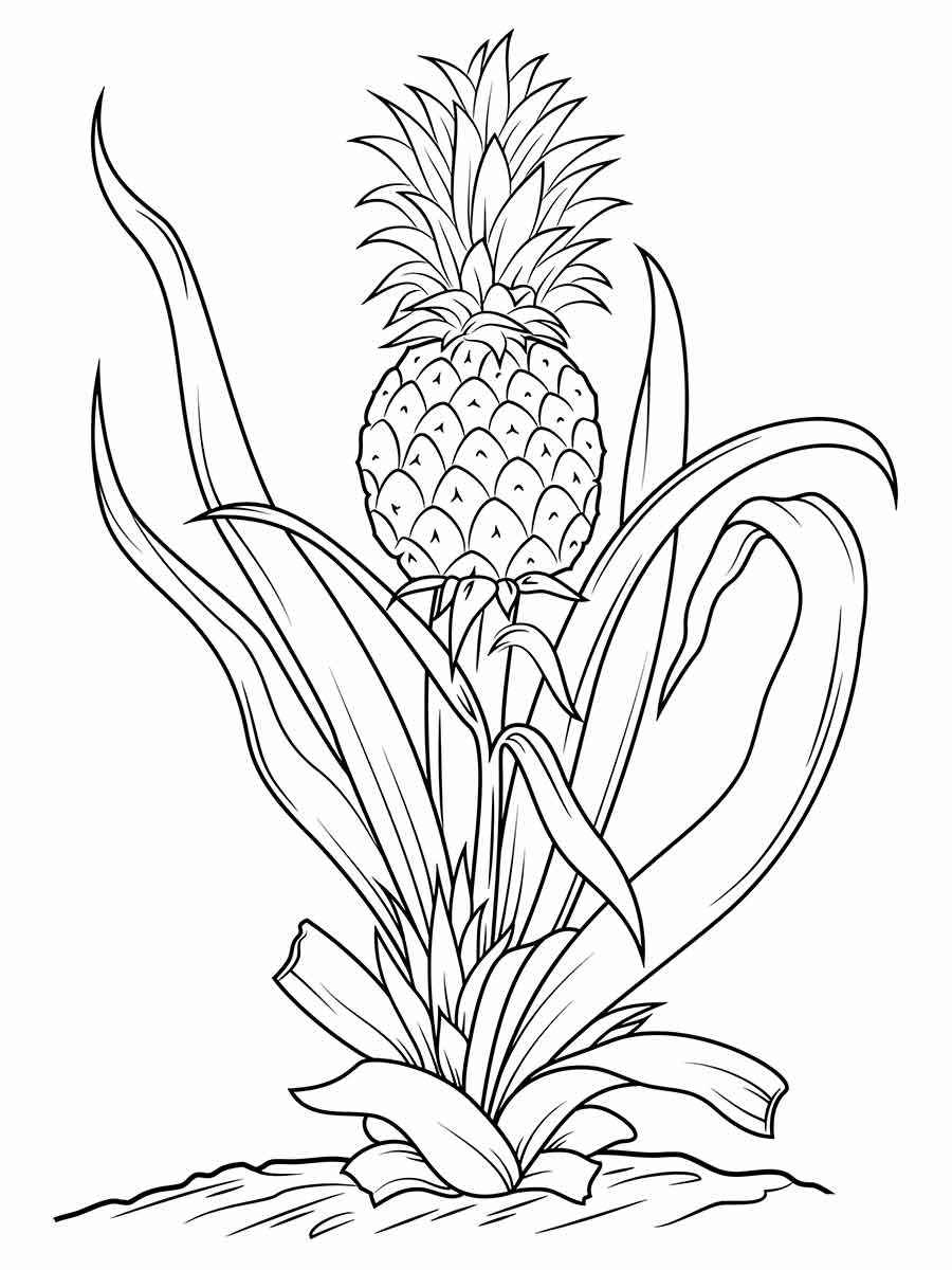 Fruits coloring page (7)