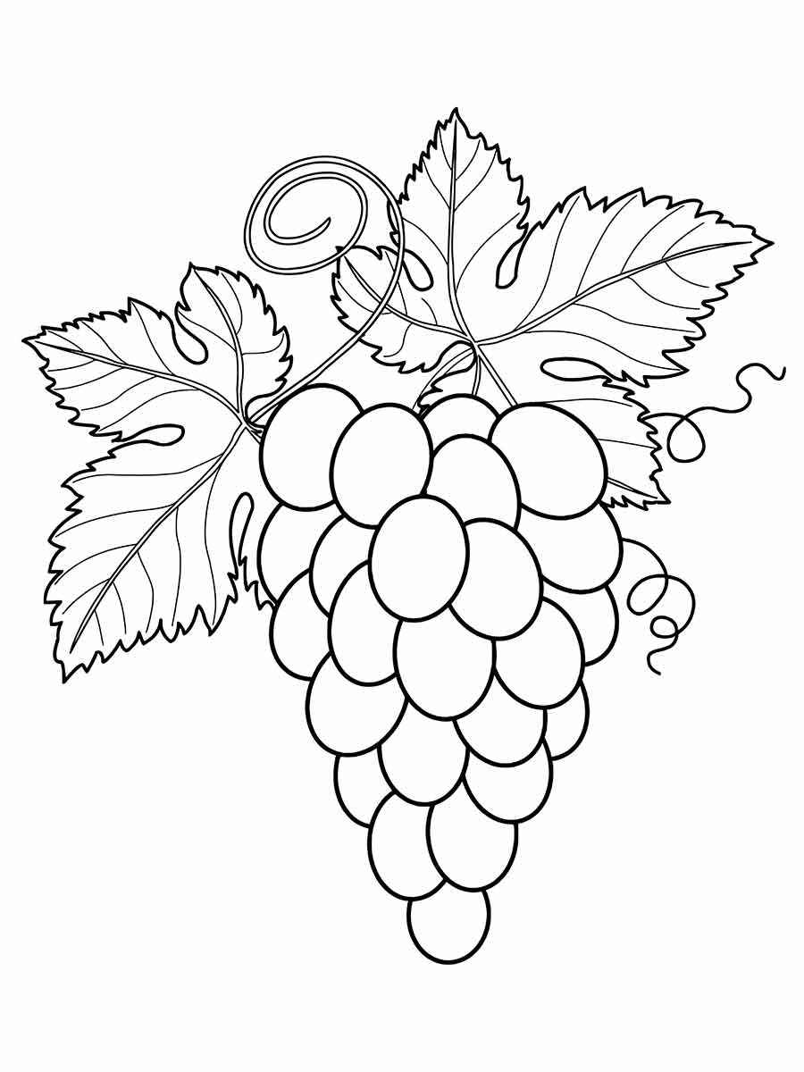 Fruits coloring page (70)