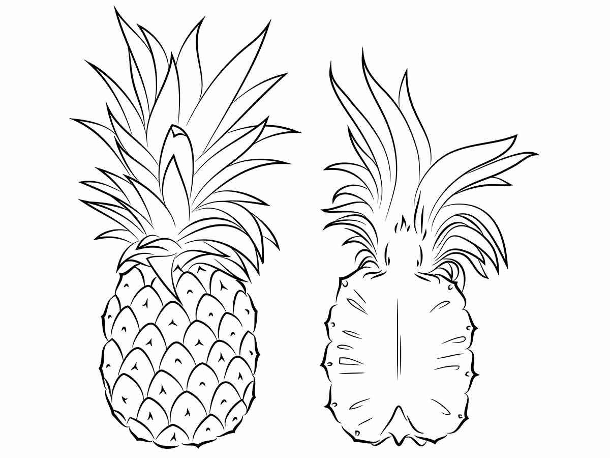 Fruits coloring page (71)