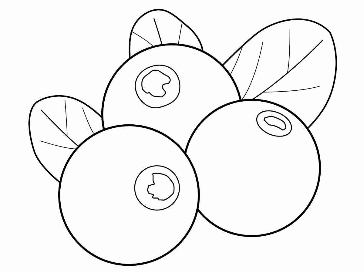 Fruits coloring page (72)