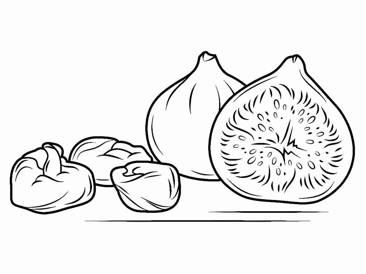 Fruits coloring page (73)