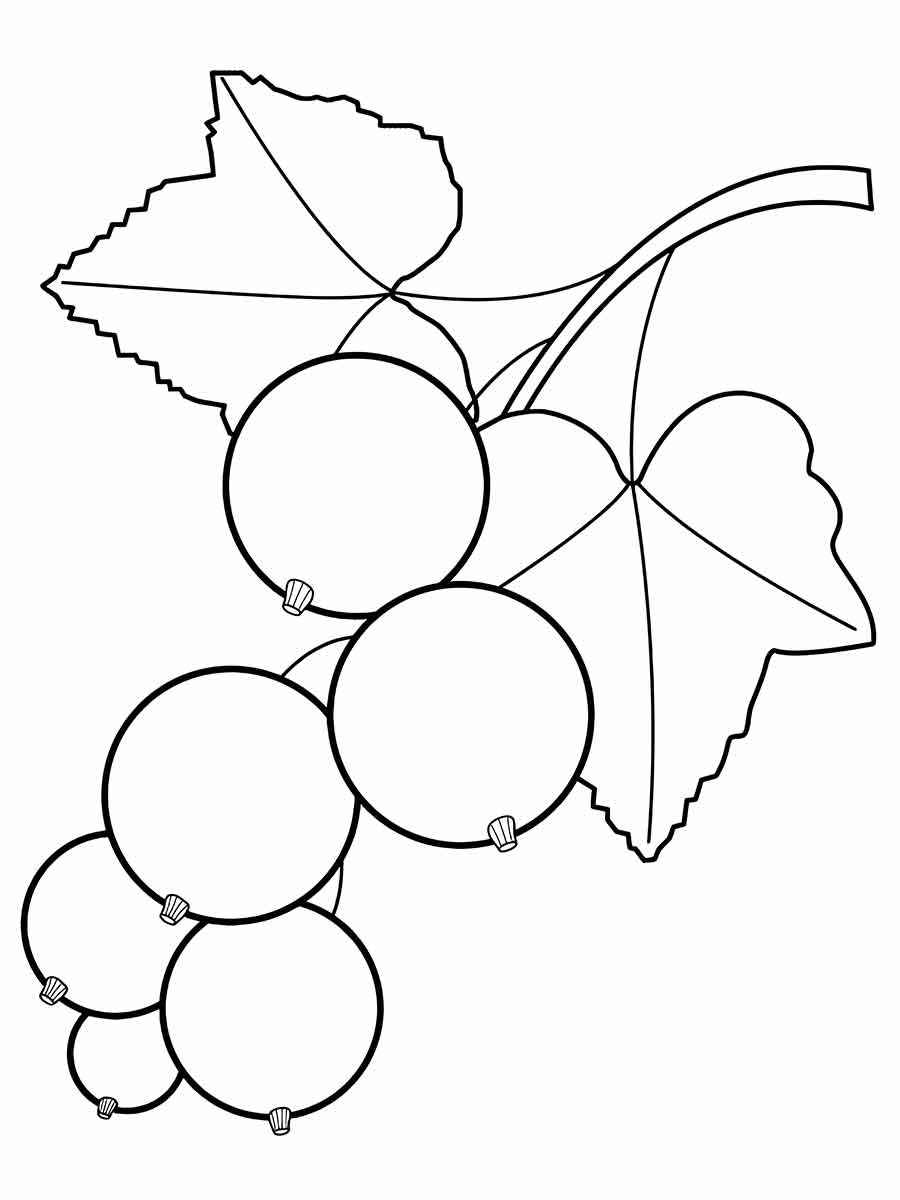 Fruits coloring page (74)