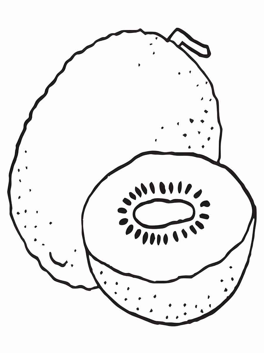 Fruits coloring page (75)