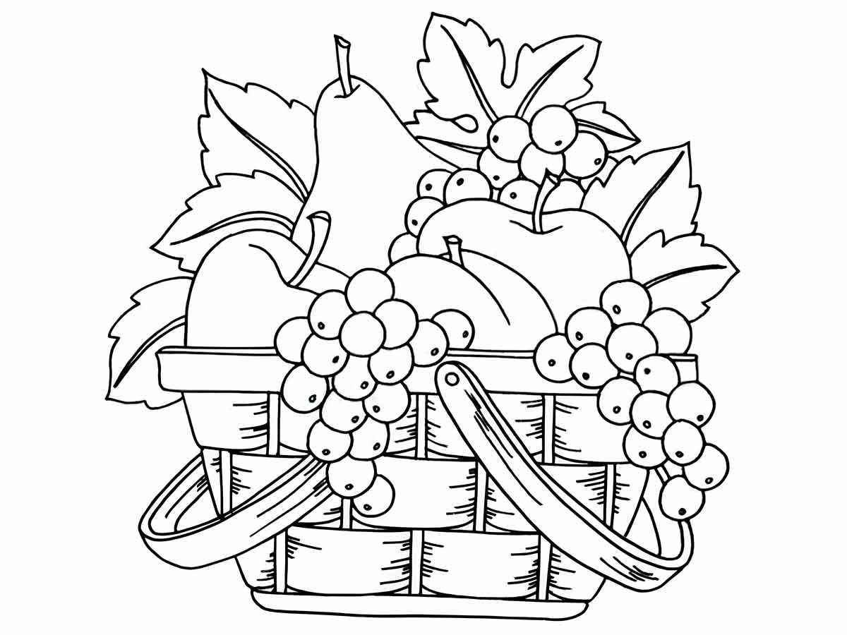 Fruits coloring page (91)