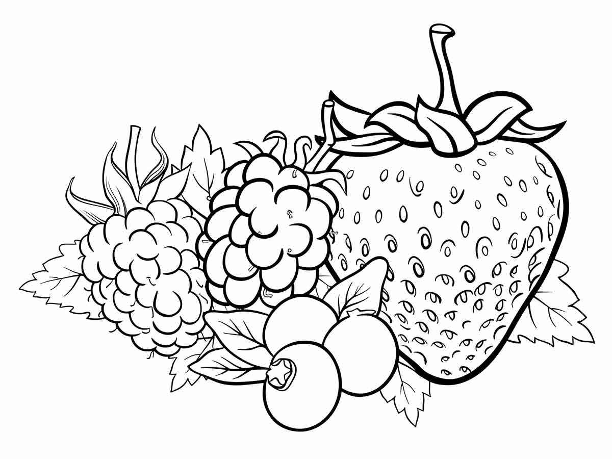 Fruits coloring page (93)