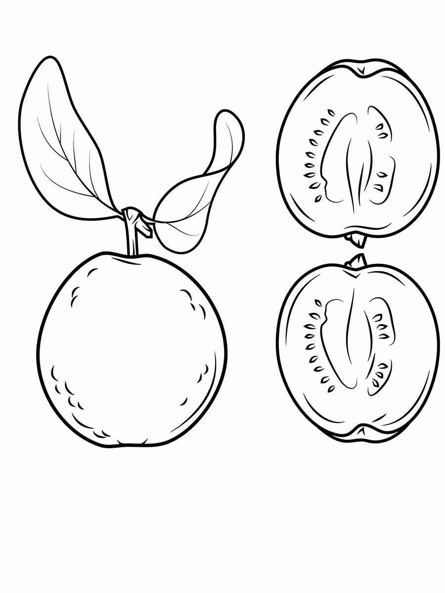 Fruits coloring page (95)