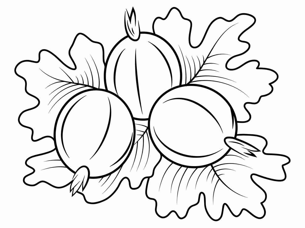 Fruits coloring page (97)