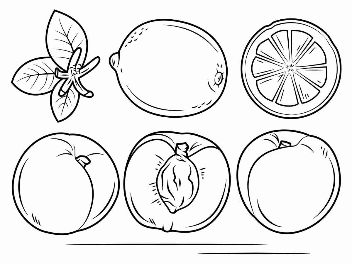 Fruits coloring page (98)