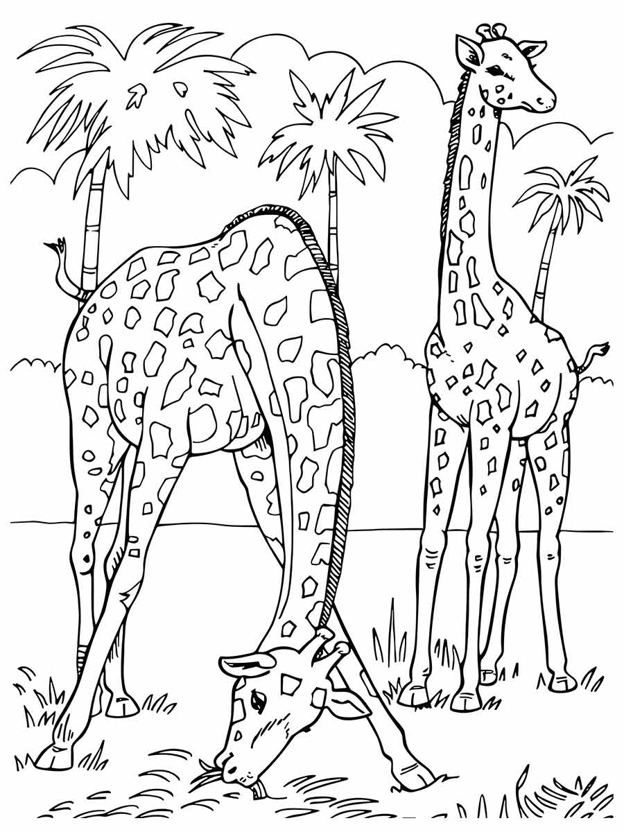 Giraffe coloring page (47)