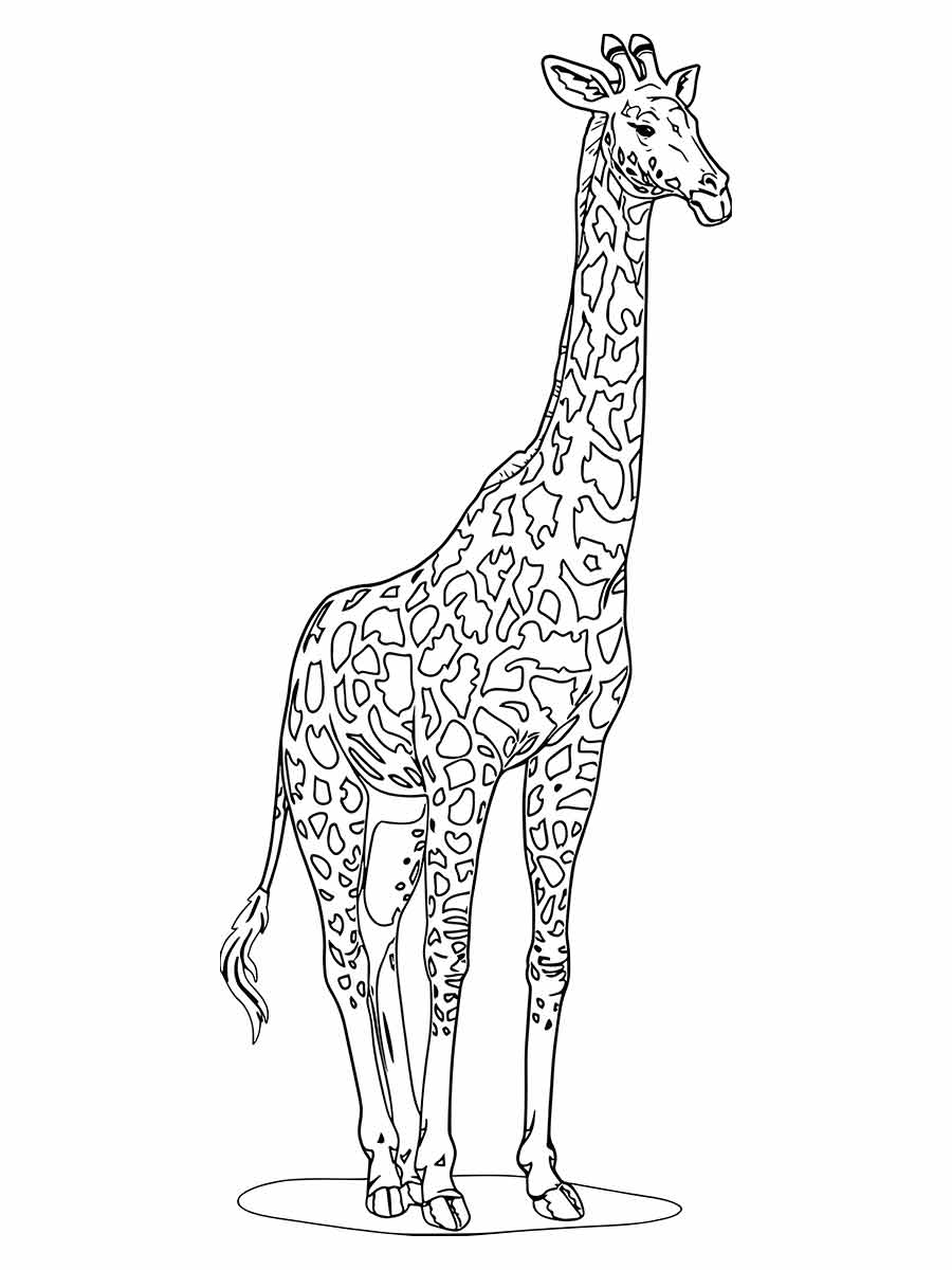 Giraffe coloring page (55)