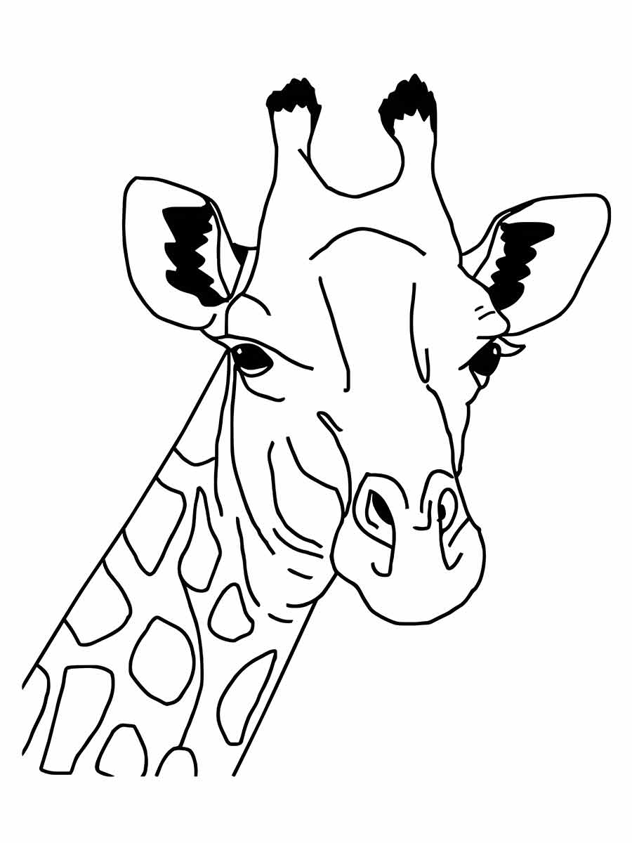 Giraffe coloring page (58)