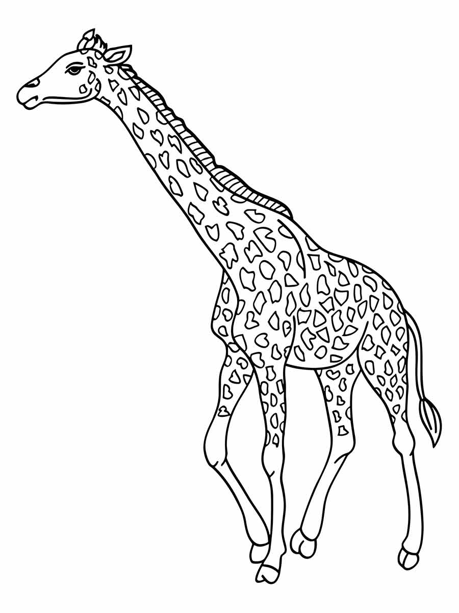 Giraffe coloring page (64)