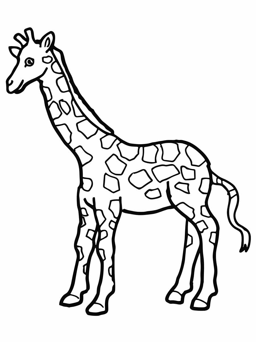 Giraffe coloring page (69)