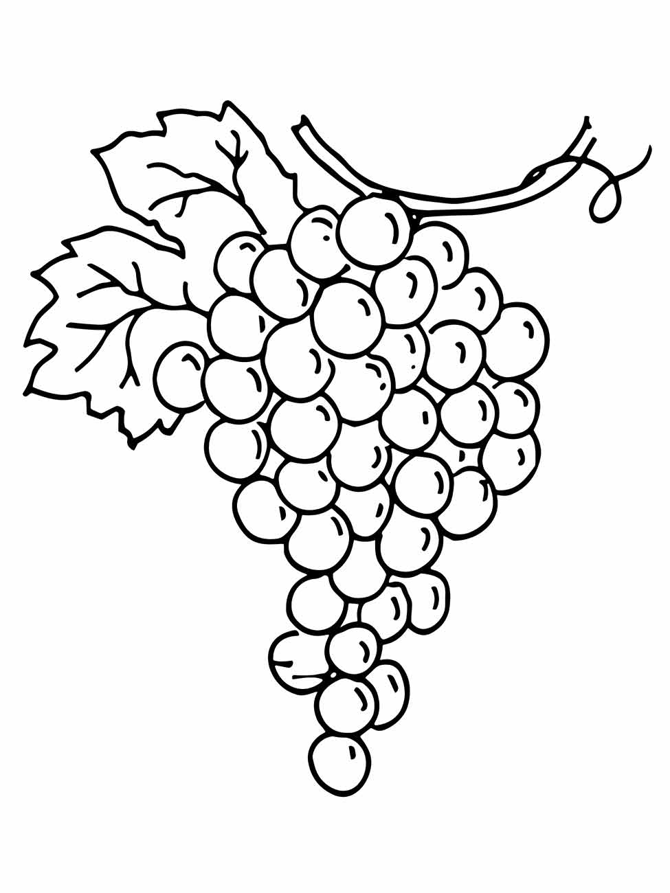 Grape coloring page (10)