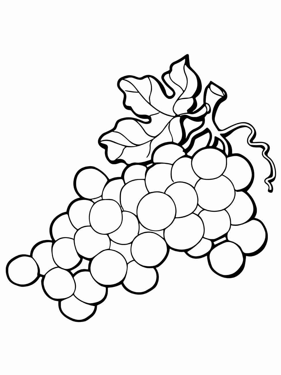 Grape coloring page (11)