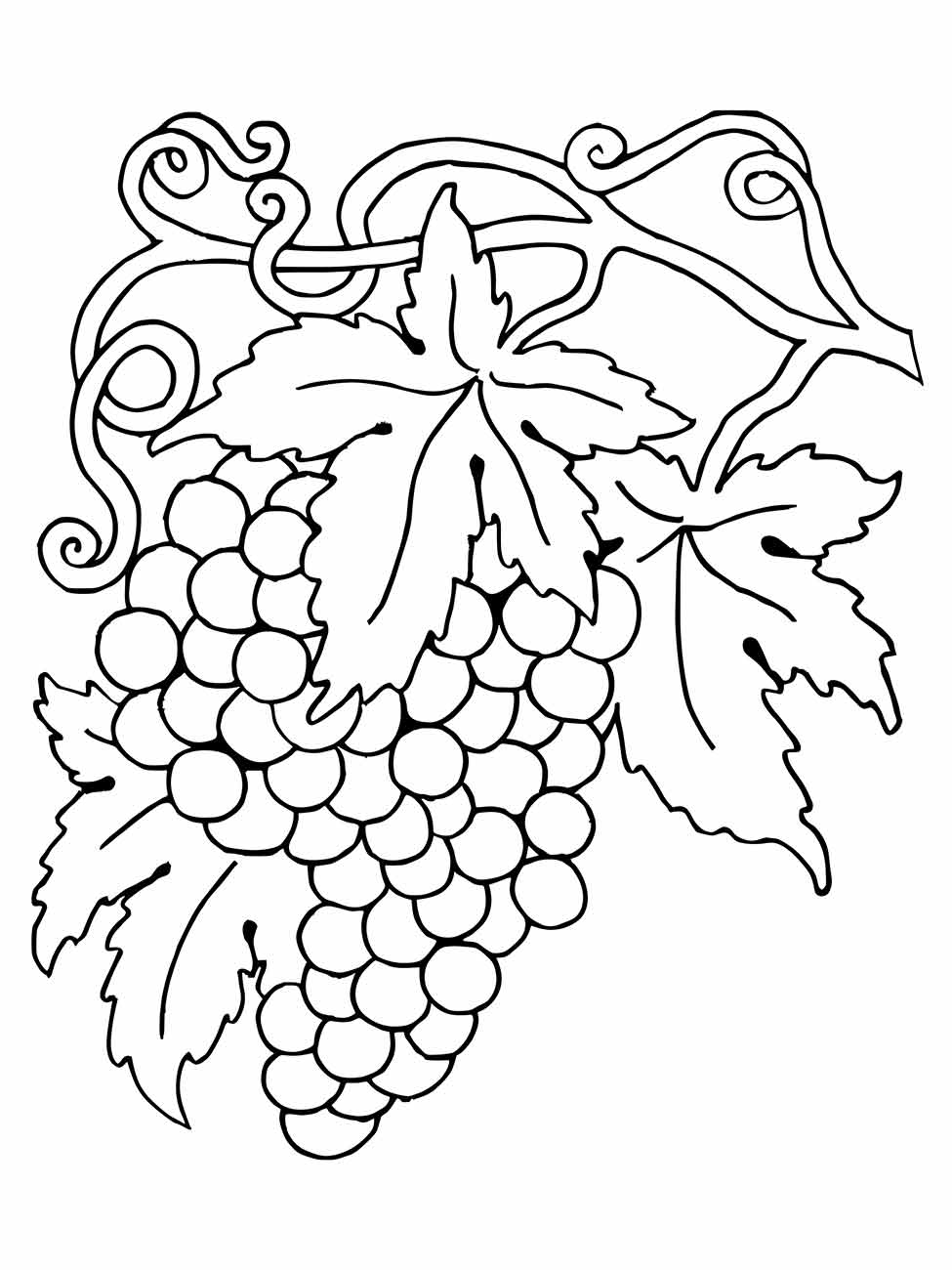 Grape coloring page (13)