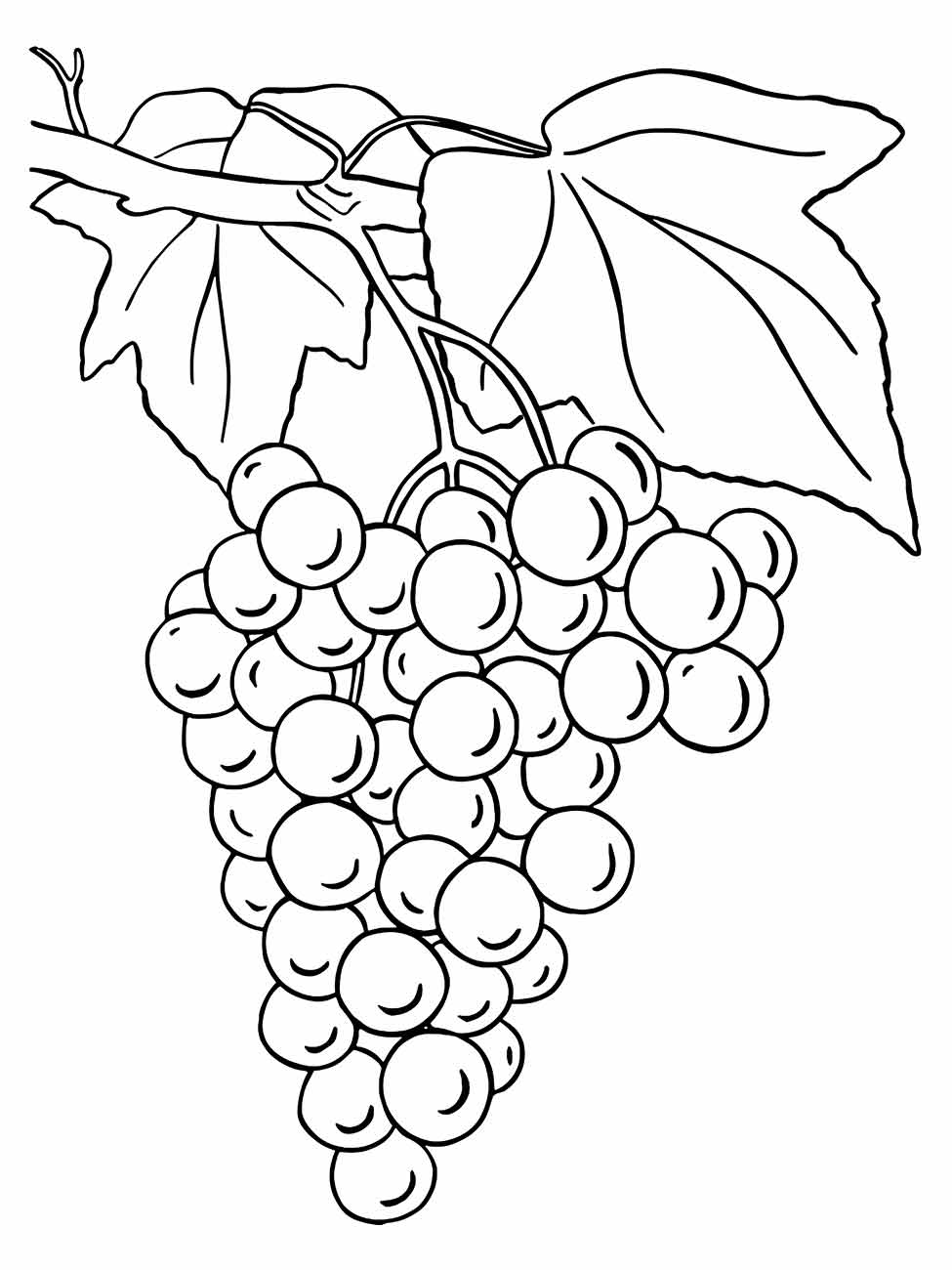 Grape coloring page (14)