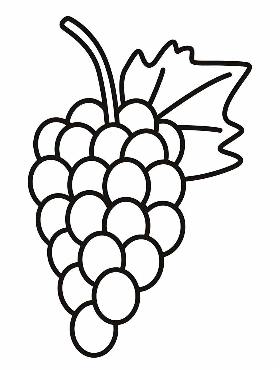 Grape coloring page (16)