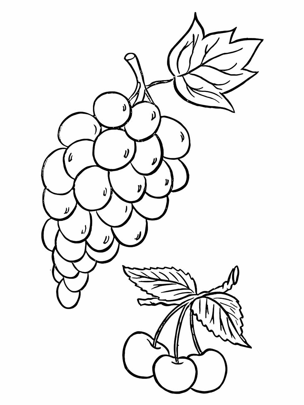 Grape coloring page (17)