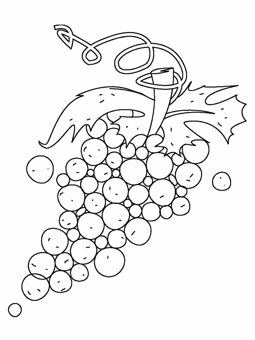 Grape coloring page (18)