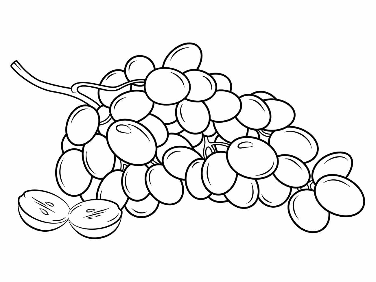 Grape coloring page (19)