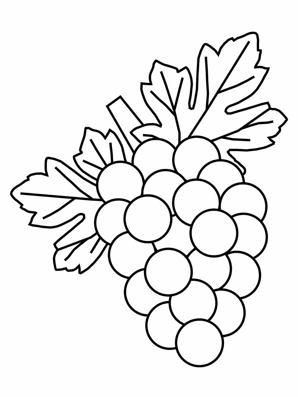 Grape coloring page (2)