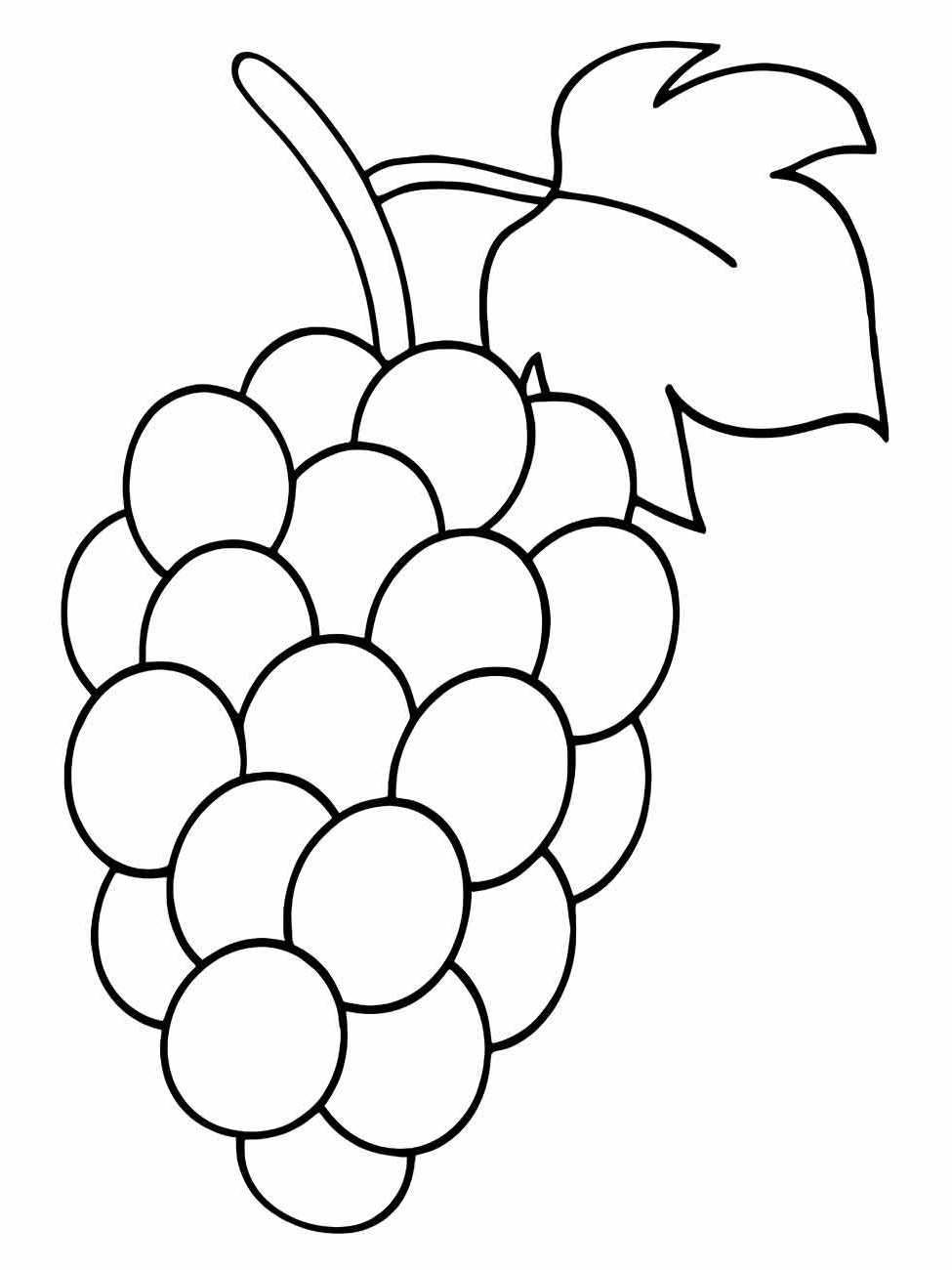 Grape coloring page (22)