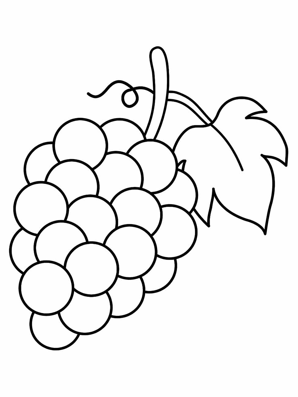 Grape coloring page (25)